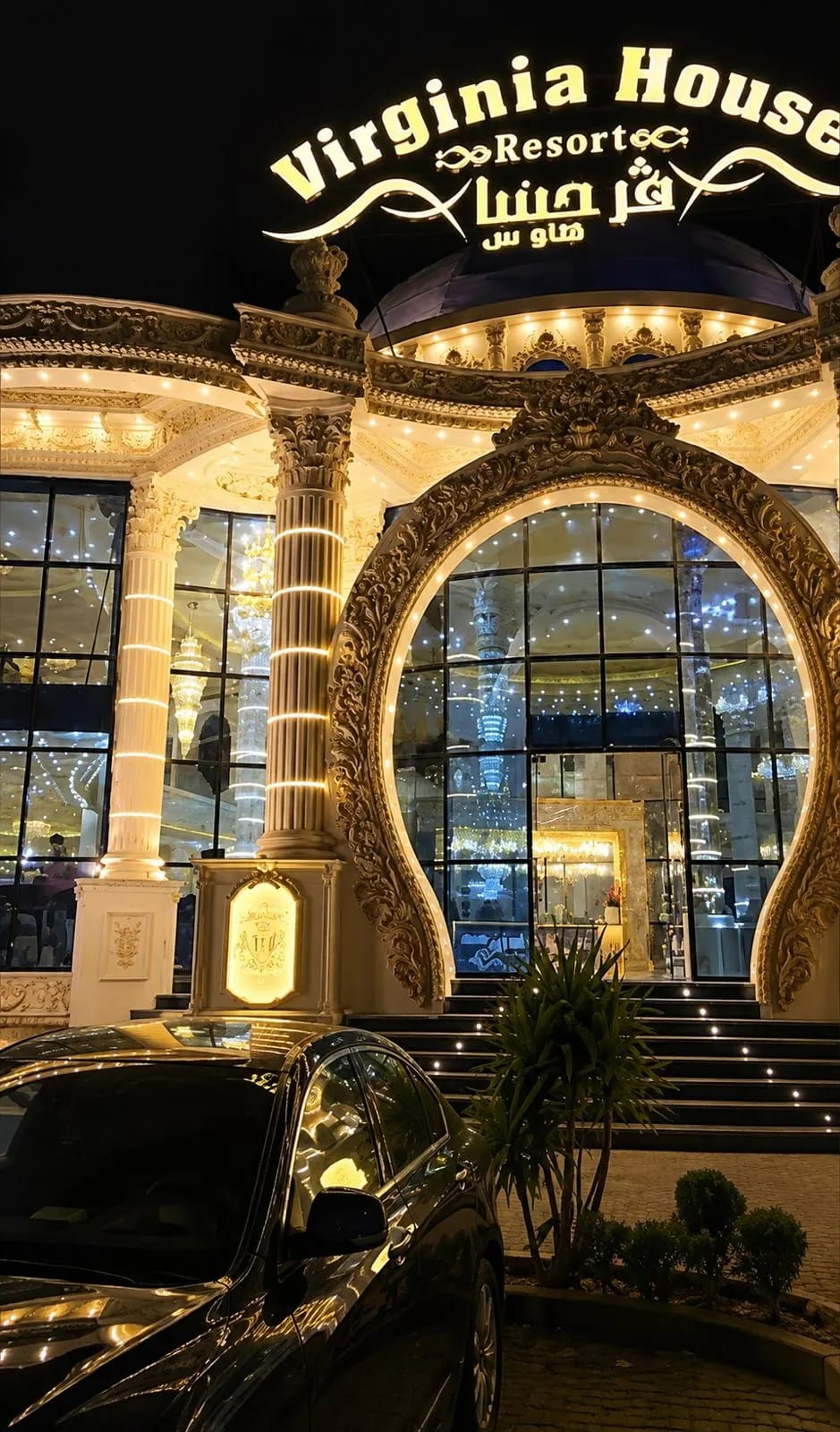 فيرجينا رودي